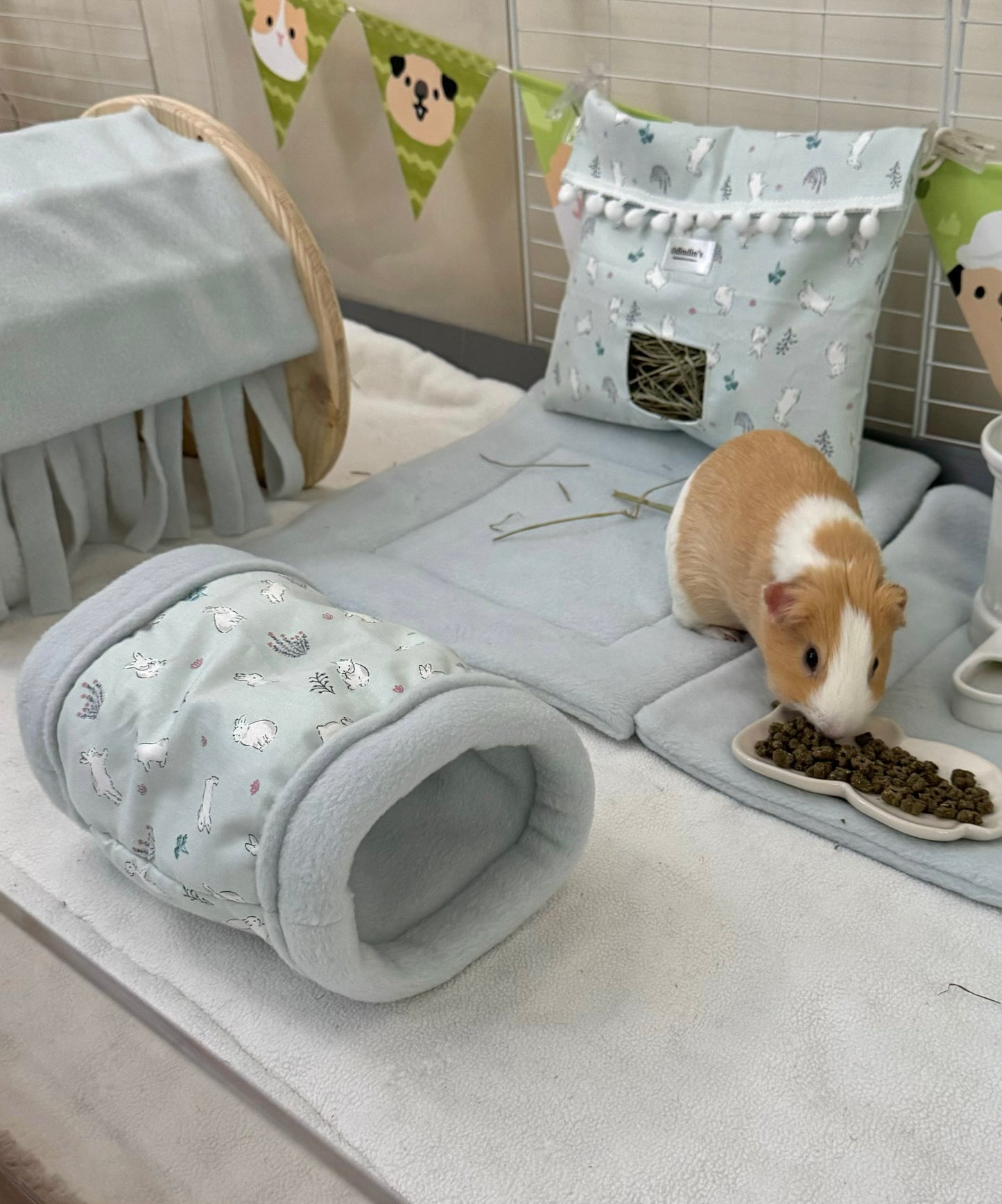 Baby blue bunny set edition limited